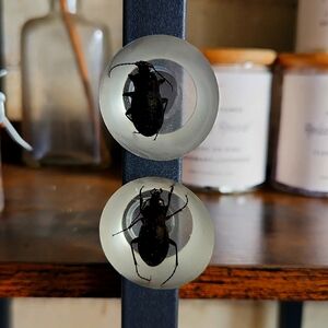 Garden beetle set in resin magnet